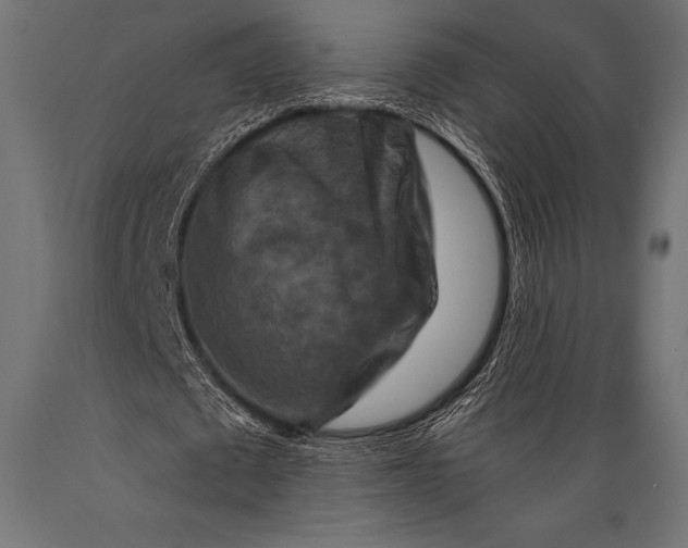 X0000088880673200706291604