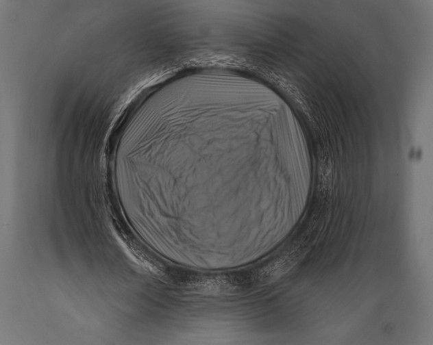 X0000088880674200706291604