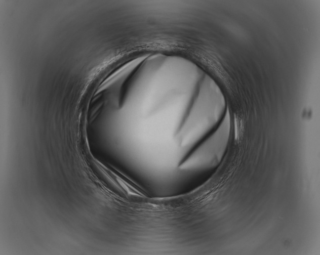 X0000088880675200706291604