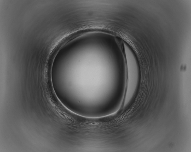 X0000088880676200706291604