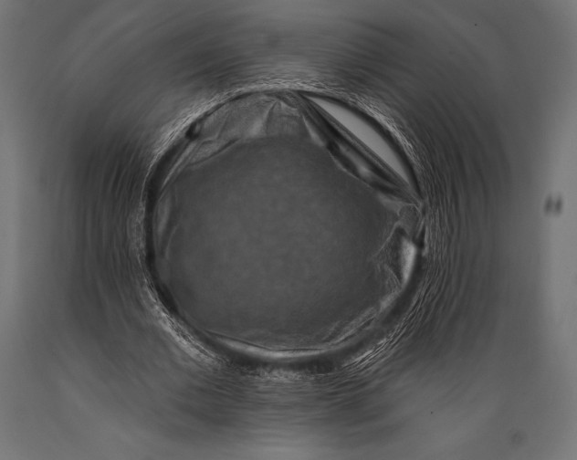 X0000088880677200706291604