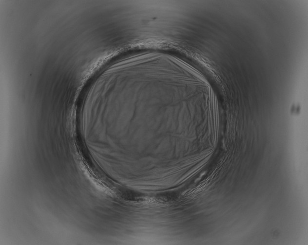 X0000088880678200706291604