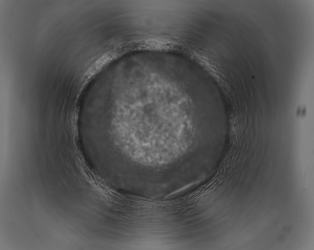 X0000088880679200706291604