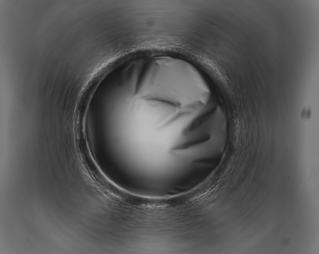 X0000088880680200706291604