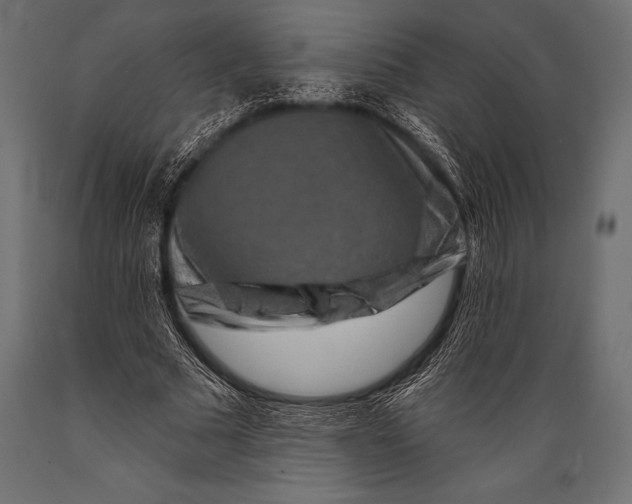 X0000088880681200706291604