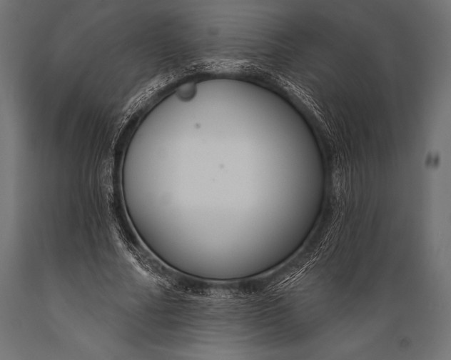 X0000088880682200706291604