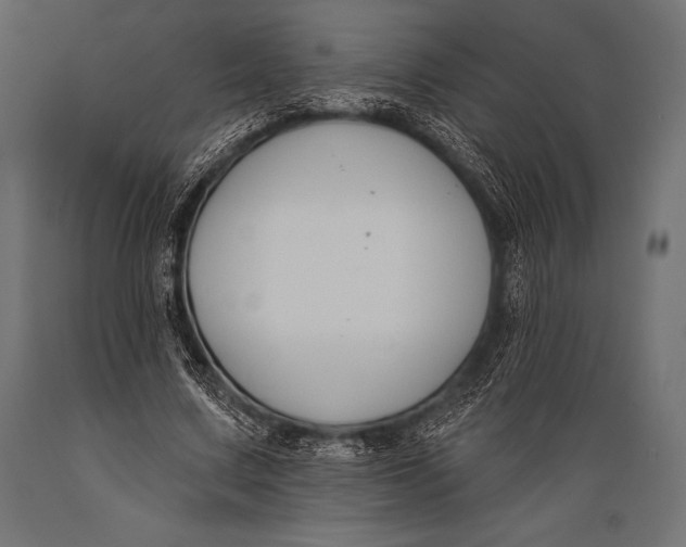 X0000088880683200706291604