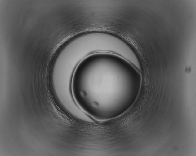 X0000088880684200706291604