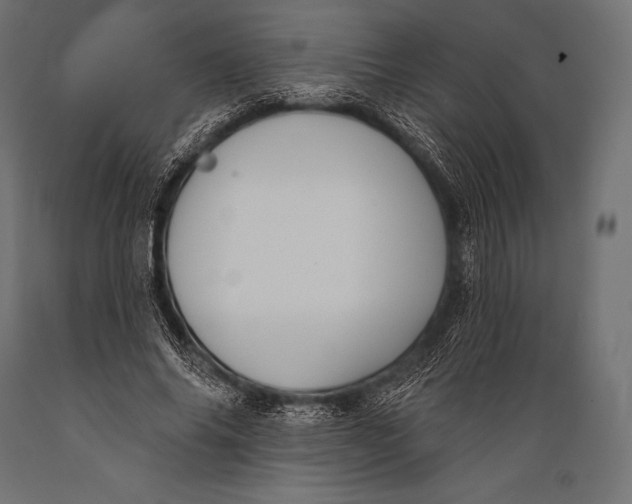 X0000088880686200706291604