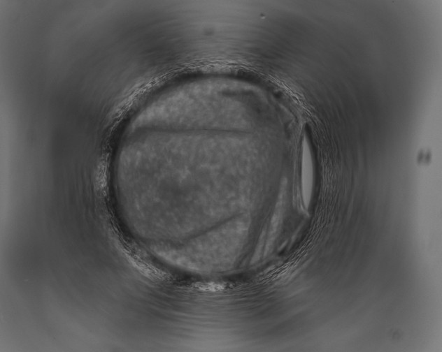 X0000088880687200706291604