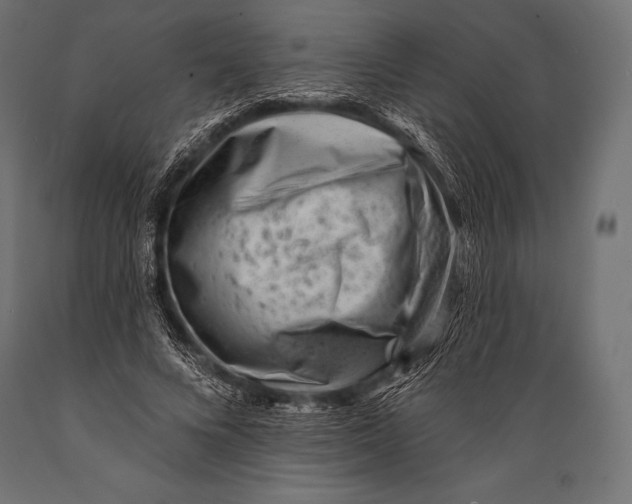 X0000088880688200706291604