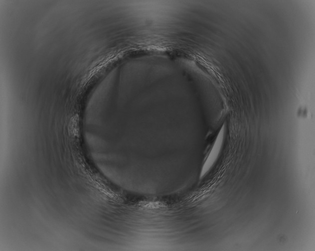 X0000088880689200706291604