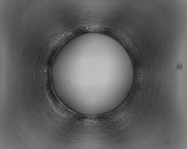 X0000088880690200706291604