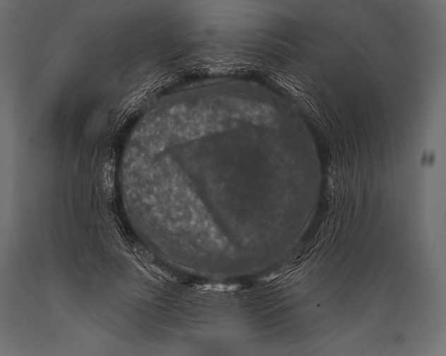 X0000088880691200706291604