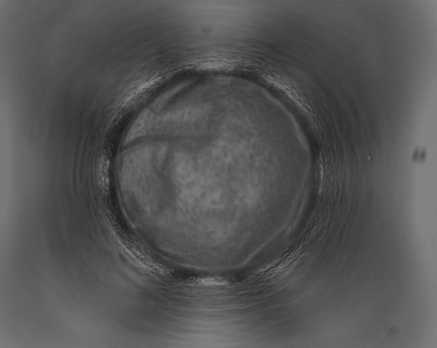 X0000088880692200706291604