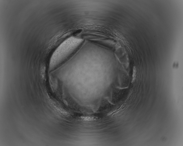 X0000088880693200706291604