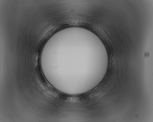 X0000088880694200706291604