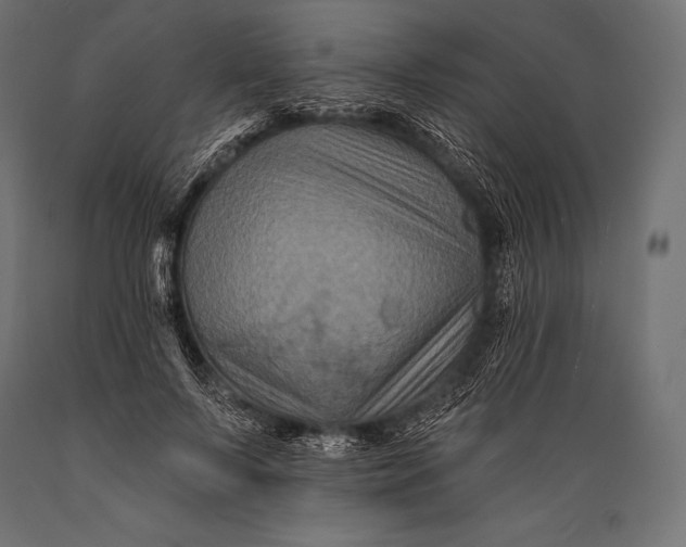 X0000088880695200706291604