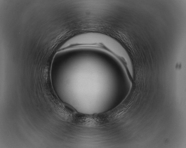 X0000088880697200706291604