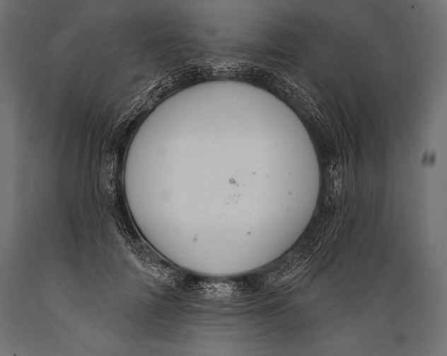 X0000088880698200706291604