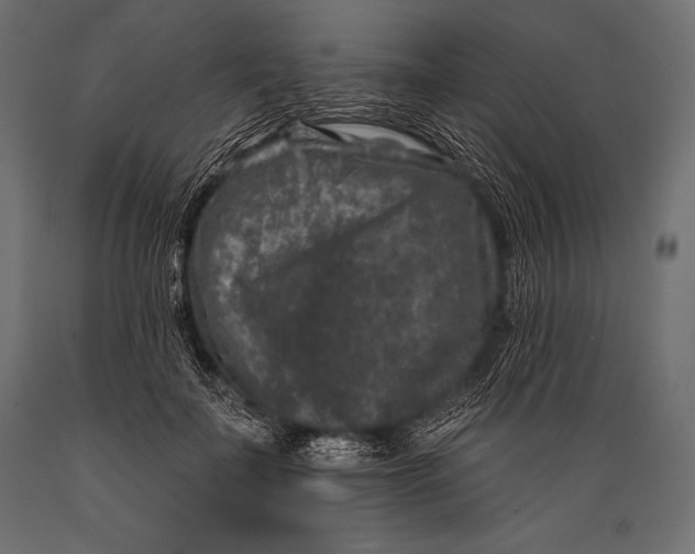 X0000088880699200706291604