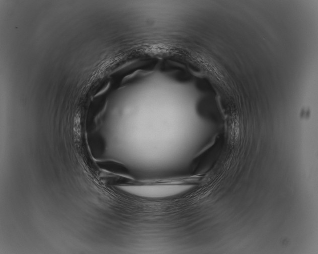 X0000088880700200706291604