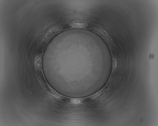 X0000088880701200706291603