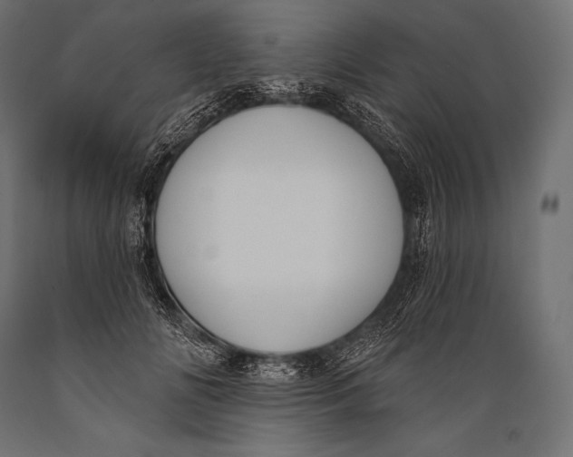 X0000088880702200706291603