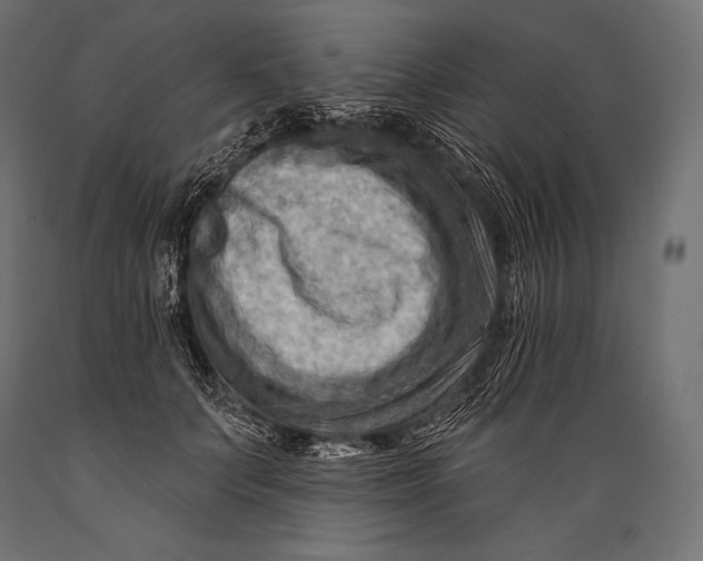 X0000088880703200706291603