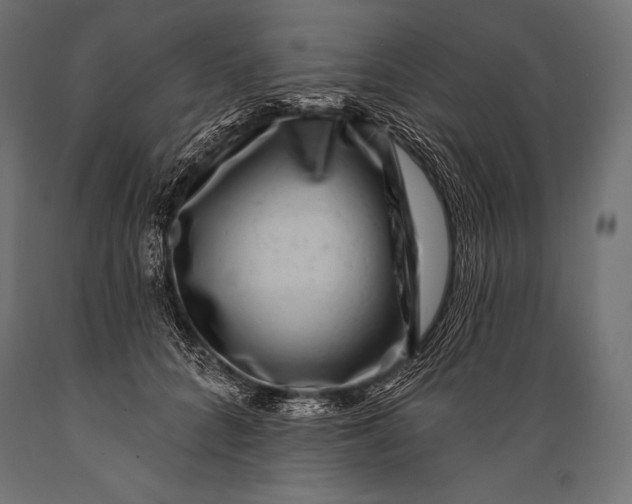 X0000088880704200706291603