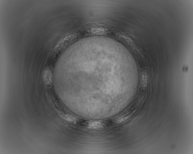 X0000088880705200706291603