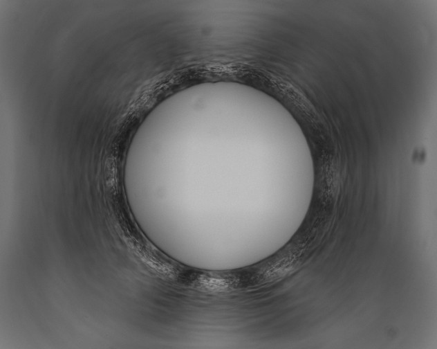 X0000088880706200706291603