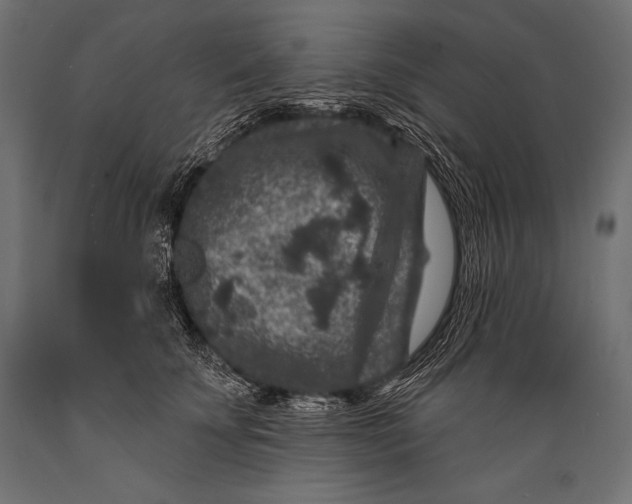 X0000088880707200706291603