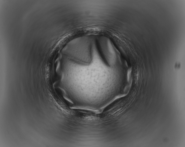 X0000088880708200706291603