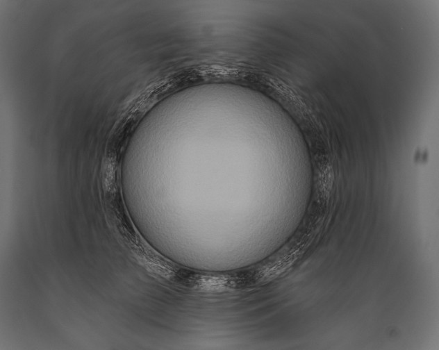 X0000088880709200706291603