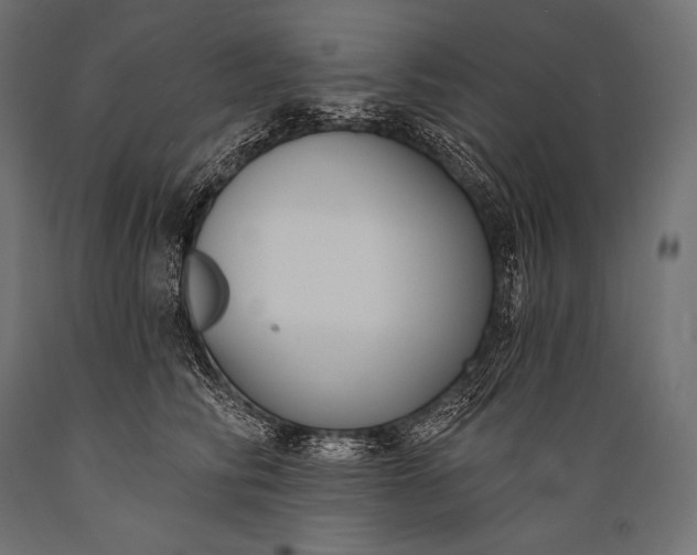 X0000088880710200706291603