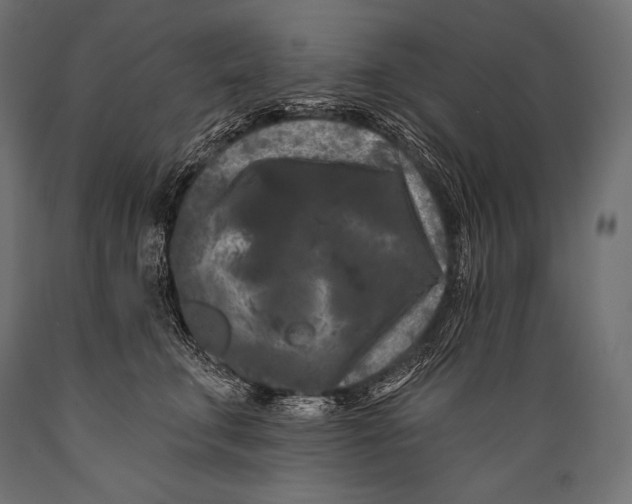 X0000088880711200706291603