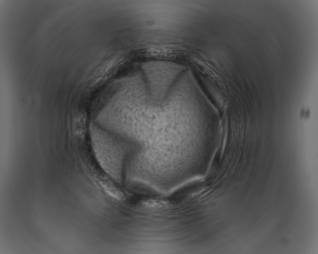 X0000088880712200706291603