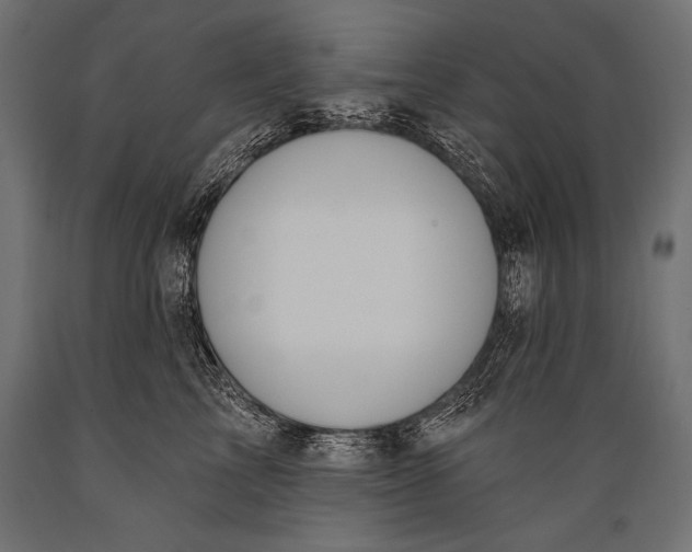 X0000088880713200706291603