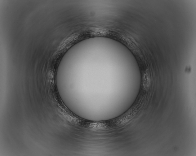 X0000088880714200706291603