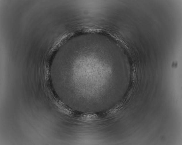 X0000088880716200706291603