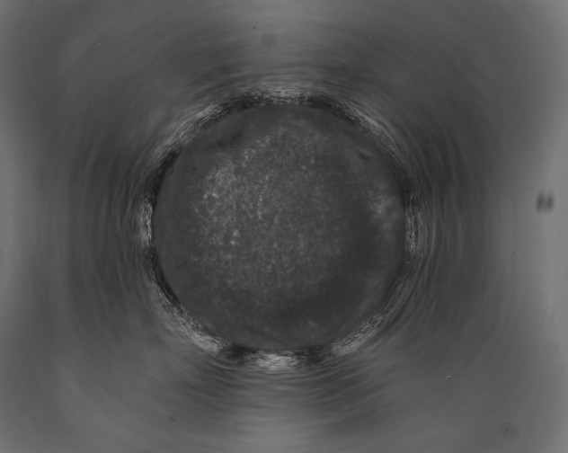 X0000088880718200706291603