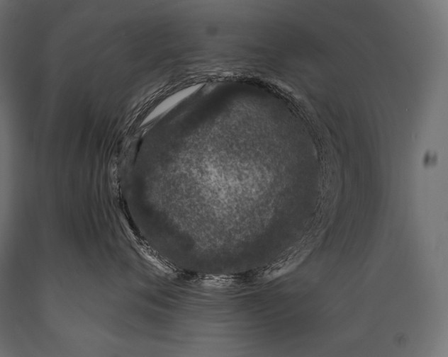 X0000088880720200706291603