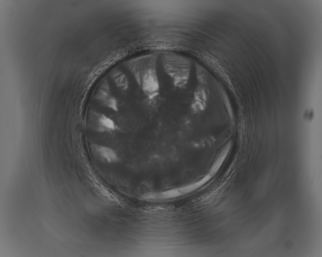 X0000088880721200706291603