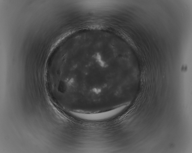 X0000088880722200706291603