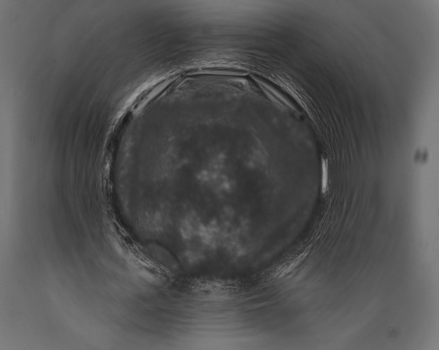 X0000088880723200706291603