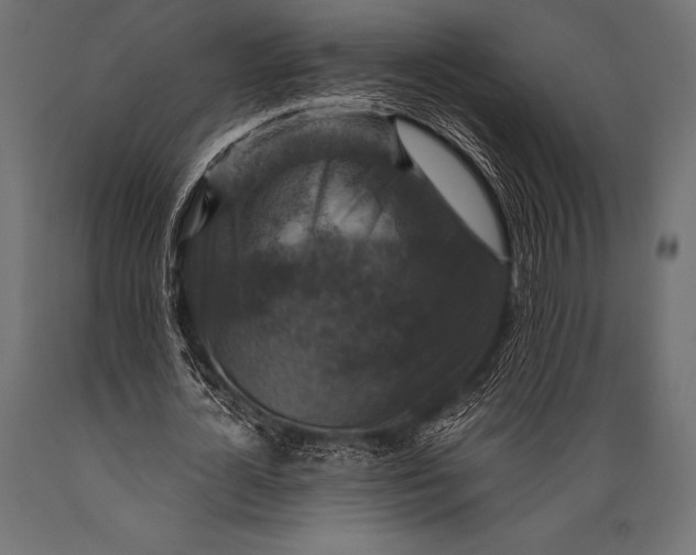 X0000088880724200706291603