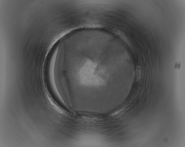 X0000088880726200706291603