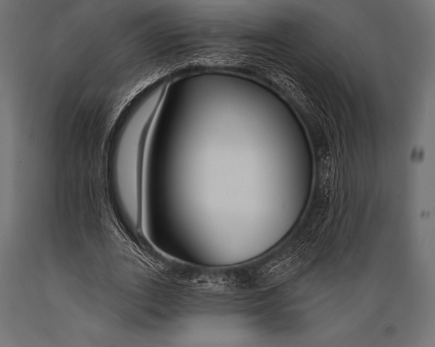 X0000088880727200706291603