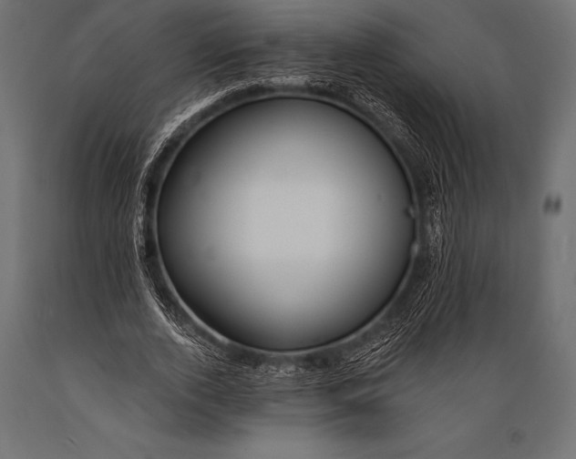 X0000088880728200706291603